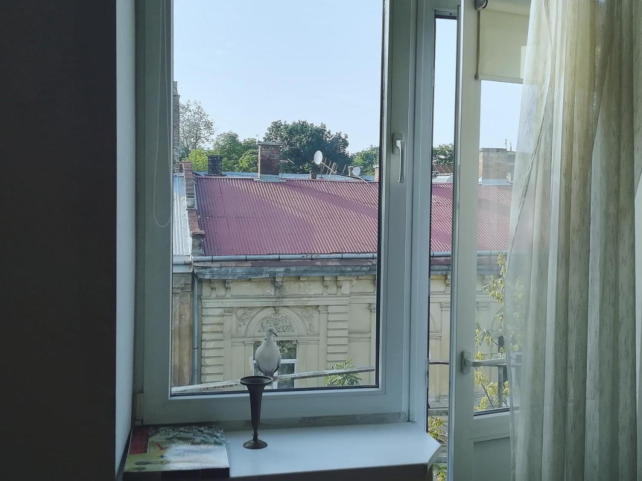 Valentine Apartment Лвив Екстериор снимка